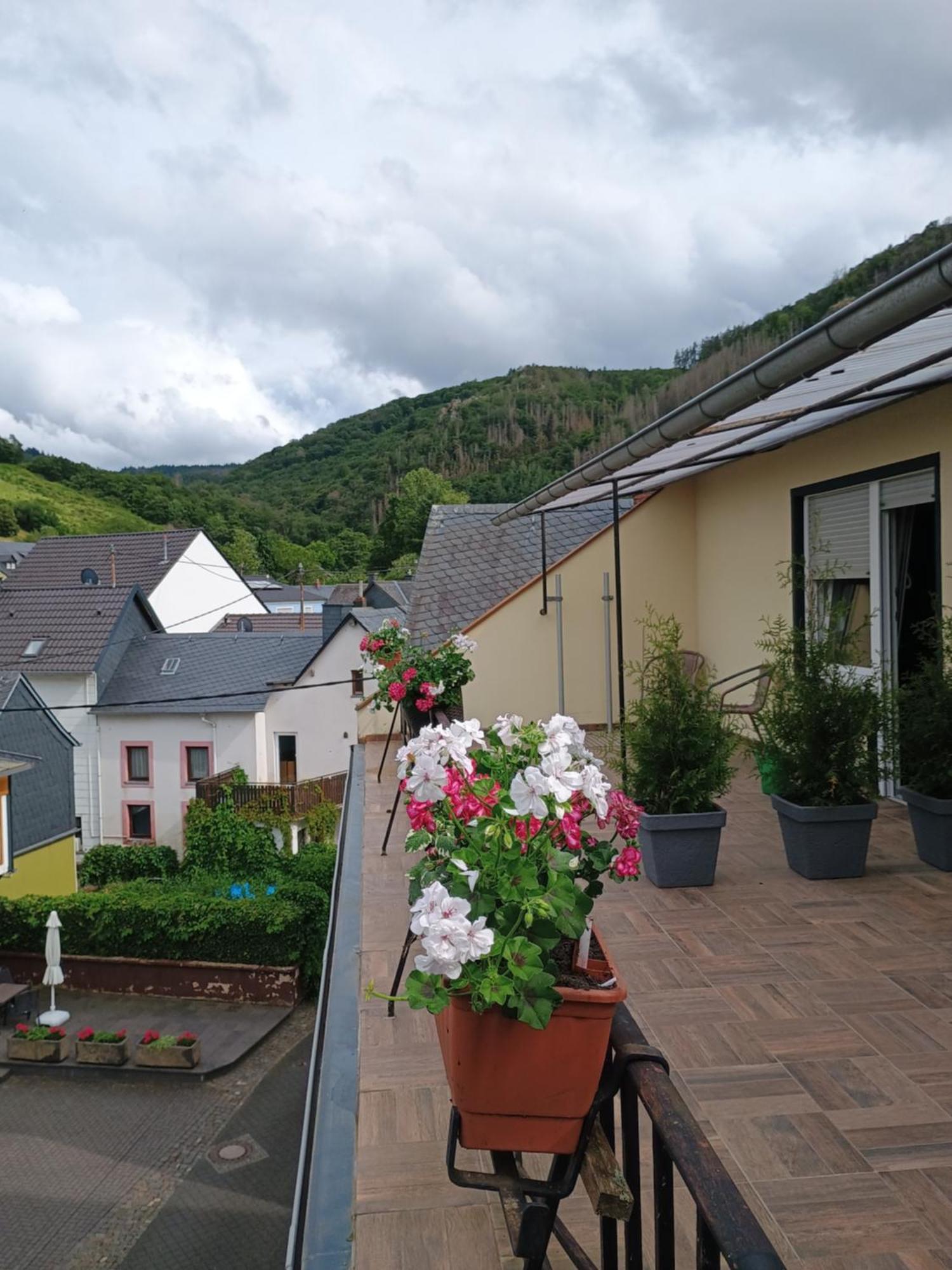 Gasthof Zur Grafschaft Veldenz Kültér fotó