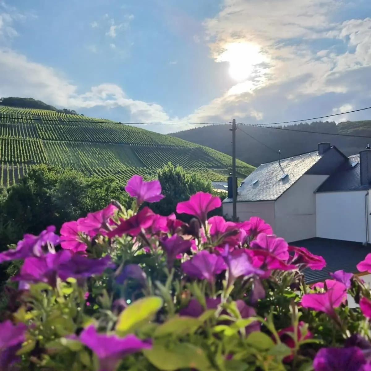 Gasthof Zur Grafschaft Veldenz Kültér fotó